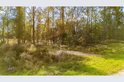 922 Rolling Pines Drive, Livingston, TX 77351 - Photo 8