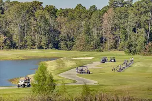 7321 Mount Greylock Loop, Porter, TX 77365 - Photo 46