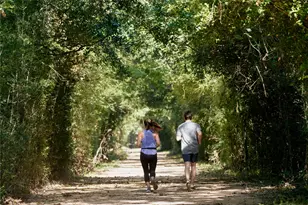 11247 Tropical Forest Wy, Cypress, TX 77433 - Photo 36