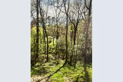 8 White Oak Drive, Point Blank, TX 77364 - Photo 1