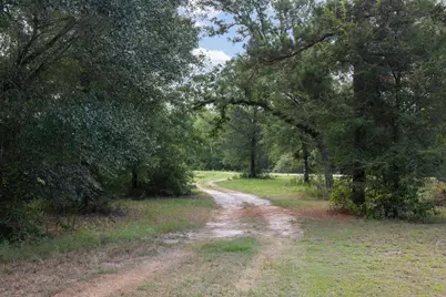 3835 County Road 151, Bedias, TX 77831 - Photo 46