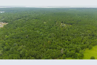 300 Collier, Point Blank, TX 77364 - Photo 36