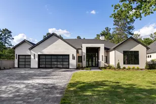 422 N Copa Palm Loop, Montgomery, TX 77316 - Photo 1