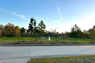 25461 Black Spruce Dr, Cleveland, TX 77328 - Photo 4