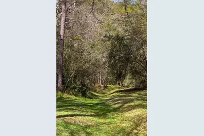 2 Thundercreek Place, The Woodlands, TX 77381 - Photo 42