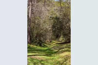 2 Thundercreek Place, Spring, TX 77381 - Photo 42