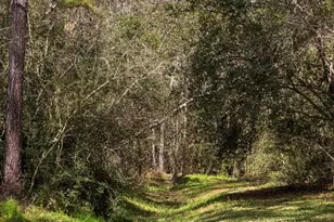 2 Thundercreek Pl, Spring, TX 77381 - Photo 42