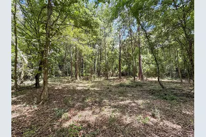Tbd Hwy 69 N, Woodville, TX 75979 - Photo 20
