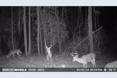 Tbd Hwy 69 N, Woodville, TX 75979 - Photo 28