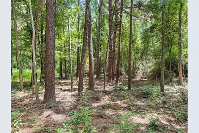 Tbd Hwy 69 N, Woodville, TX 75979 - Photo 22