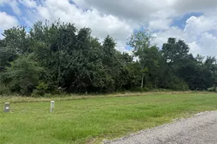 000 W Lot 31 Reserve At Chappell Hill Rd W, Chappell Hill, TX 77880 - Photo 6