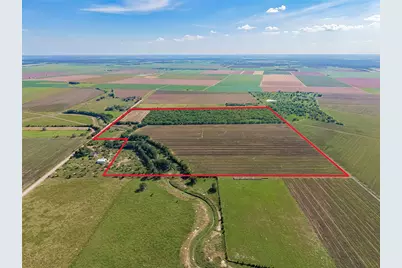10542 Walker Road, Beasley, TX 77417 - Photo 4