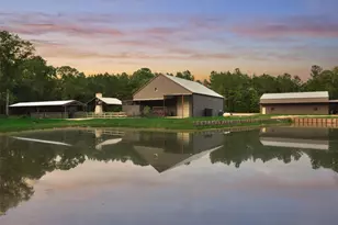 2693 N Fm 1486 Rd, Montgomery, TX 77356 - Photo 46