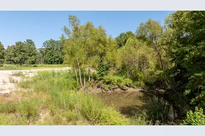 16124 Fm 2109, Zavalla, TX 75980 - Photo 2