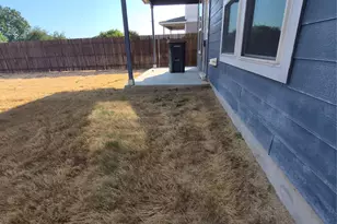 556 Black Alder St, Georgetown, TX 78626 - Photo 26