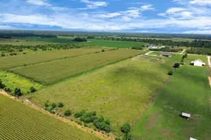 2787 Maler Rd, Sealy, TX 77474 - Photo 16