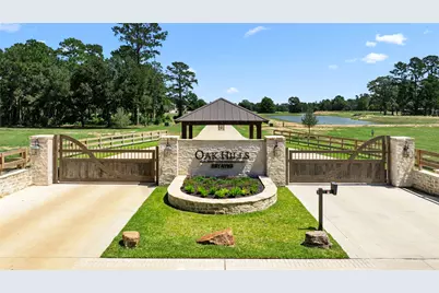 208 Rolling Oaks Drive, Hockley, TX 77447 - Photo 1