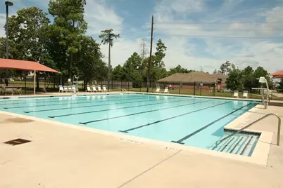 27131 Sunset Pines Drive, Spring, TX 77373 - Photo 44