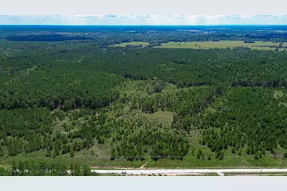 0 Cherokee Trail Trail, Lovelady, TX 75851 - Photo 20