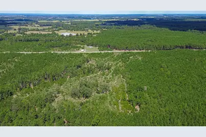 0 Cherokee Trail Trail, Lovelady, TX 75851 - Photo 12