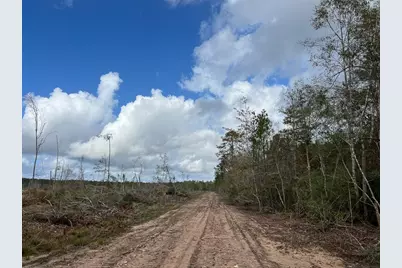 1 Old Honey Island Road, Kountze, TX 77625 - Photo 12