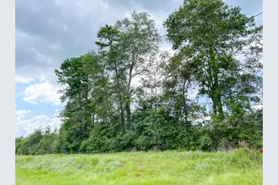 1 Old Honey Island Road, Kountze, TX 77625 - Photo 6