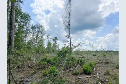 1 Old Honey Island Road, Kountze, TX 77625 - Photo 8