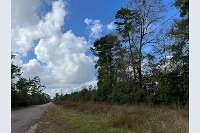 1 Old Honey Island Road, Kountze, TX 77625 - Photo 10