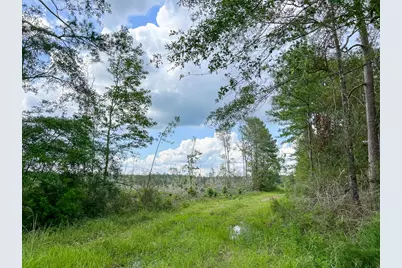 1 Old Honey Island Road, Kountze, TX 77625 - Photo 2