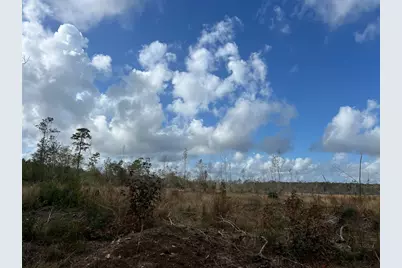 1 Old Honey Island Road, Kountze, TX 77625 - Photo 14