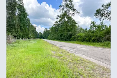 1 Old Honey Island Road, Kountze, TX 77625 - Photo 4