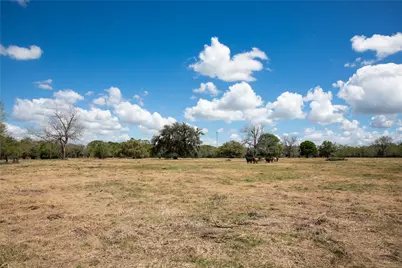 14.5 Acres Cr 320, Brazoria, TX 77422 - Photo 6