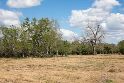 14.5 Acres Cr 320, Brazoria, TX 77422 - Photo 4