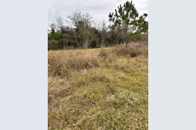 16195 Marsh Road, Hamshire, TX 77622 - Photo 12