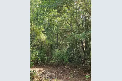 207 County Road 2210, Cleveland, TX 77327 - Photo 6