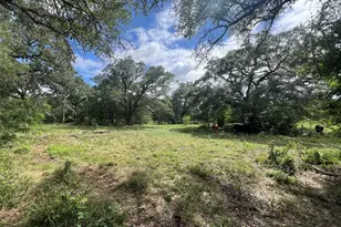 3500 Fm 1579, Schulenburg, TX 78956 - Photo 1