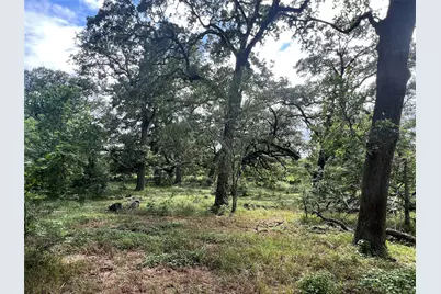 3500 Fm 1579, Schulenburg, TX 78956 - Photo 4