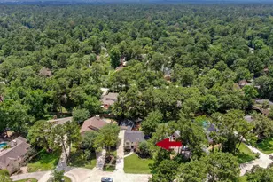 19 Postvine Ct, The Woodlands, TX 77381 - Photo 38