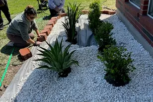 8974 N Deer Meadow Dr, Houston, TX 77071 - Photo 2