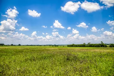 000 Egypt Lane, Washington, TX 77880 - Photo 2