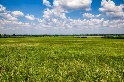 000 Egypt Lane, Washington, TX 77880 - Photo 12