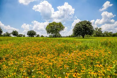 000 Egypt Lane, Washington, TX 77880 - Photo 4