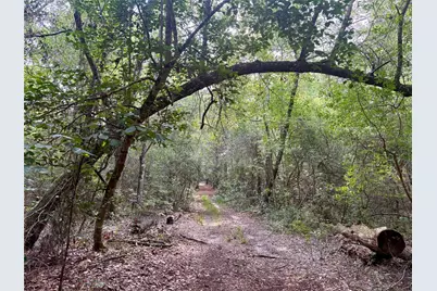 516 County Road 4800, Warren, TX 77664 - Photo 44