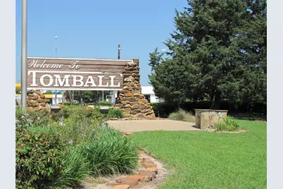 628 Foster Street, Tomball, TX 77375 - Photo 30