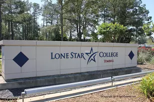 628 Foster St, Tomball, TX 77375 - Photo 48