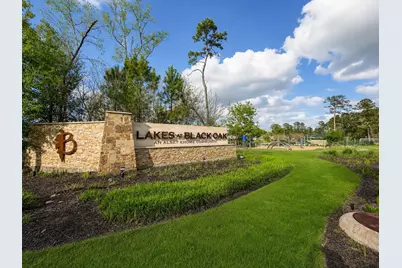 52 Valiant Ridge Trail, Magnolia, TX 77354 - Photo 8