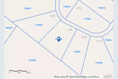 Lot 29 Cr 389, Jewett, TX 75846 - Photo 34