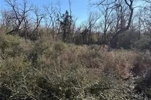 Lot 29 Cr 389, Jewett, TX 75846 - Photo 6