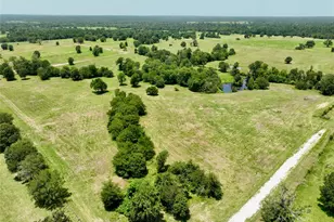 6293 Co Rd 216, Richards, TX 77873 - Photo 1