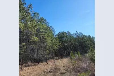 26827 Us-59 Road, Corrigan, TX 75939 - Photo 2